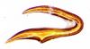 Otiorhynchus sellae sellae